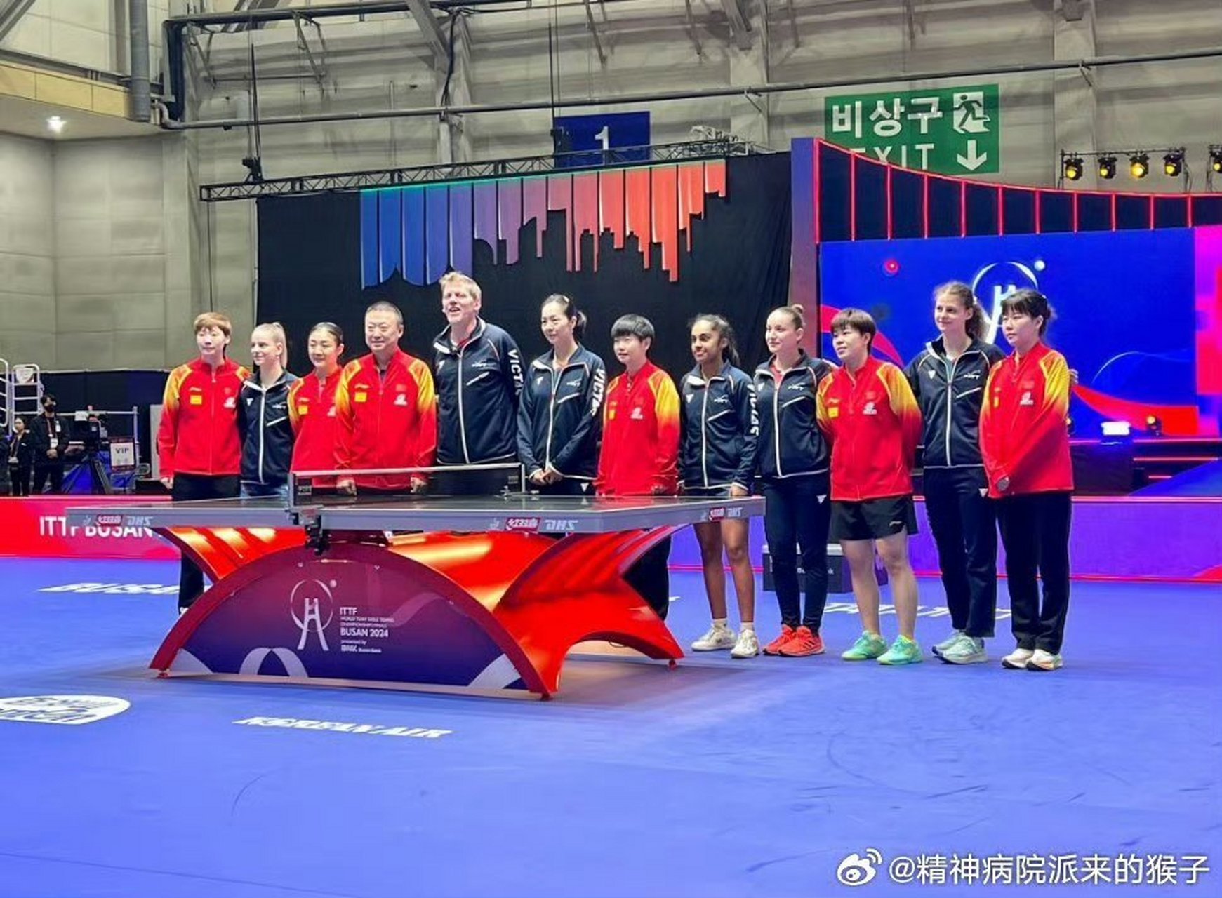 法国队力克韩国队，马琳惊艳四座