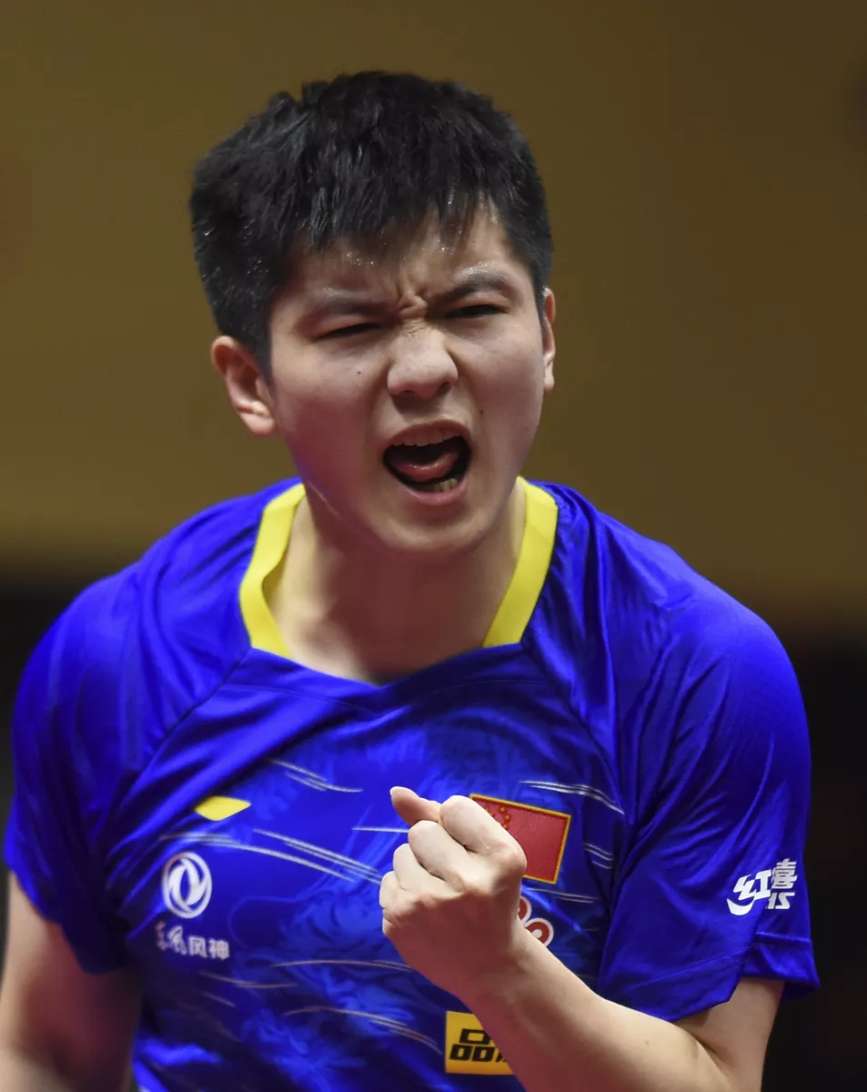 法国队横扫波兰队，樊振东惊艳四座