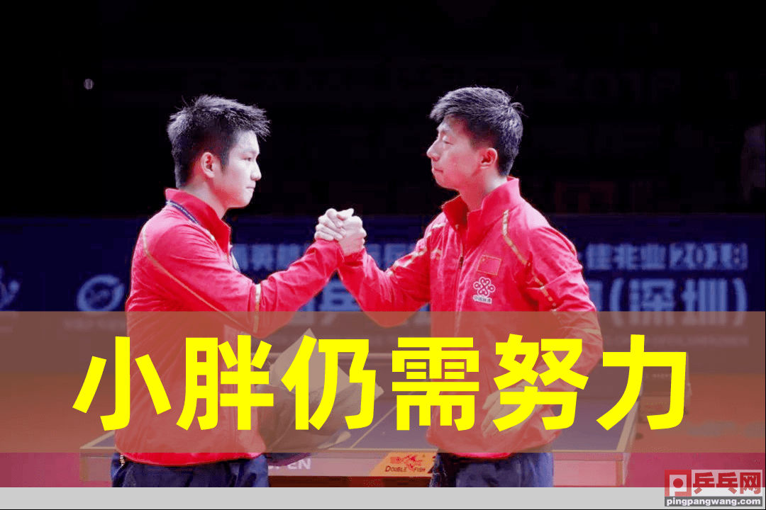 德国队险胜日本队,马琳扛起全队 德国队险胜日本队,马琳扛起全队