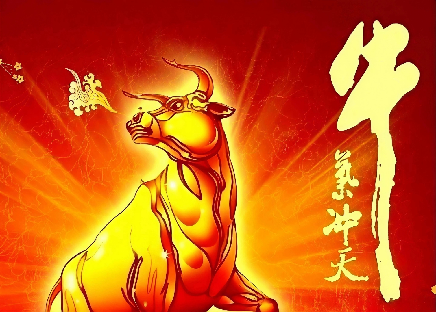 公牛连败告急，亟需调整状态