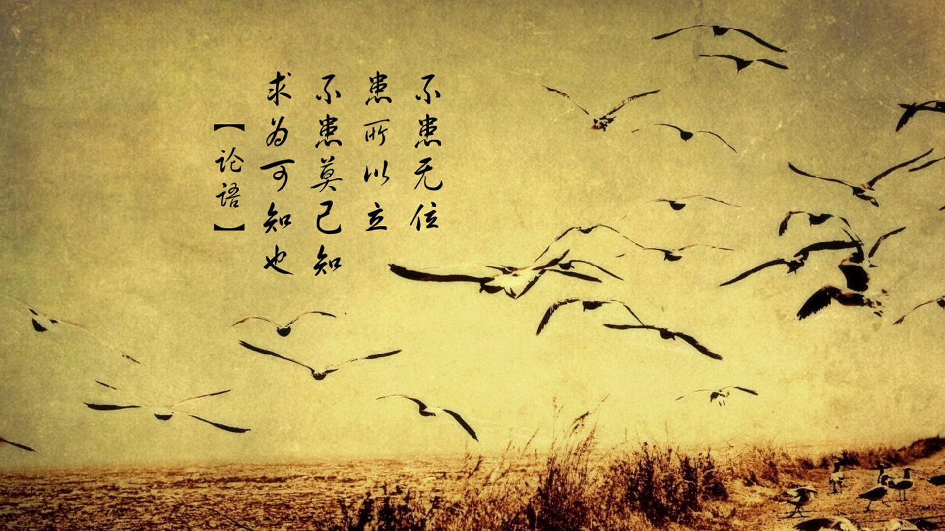 雷霆制霸辽宁队,美加墨世界杯焦点战的战术启示