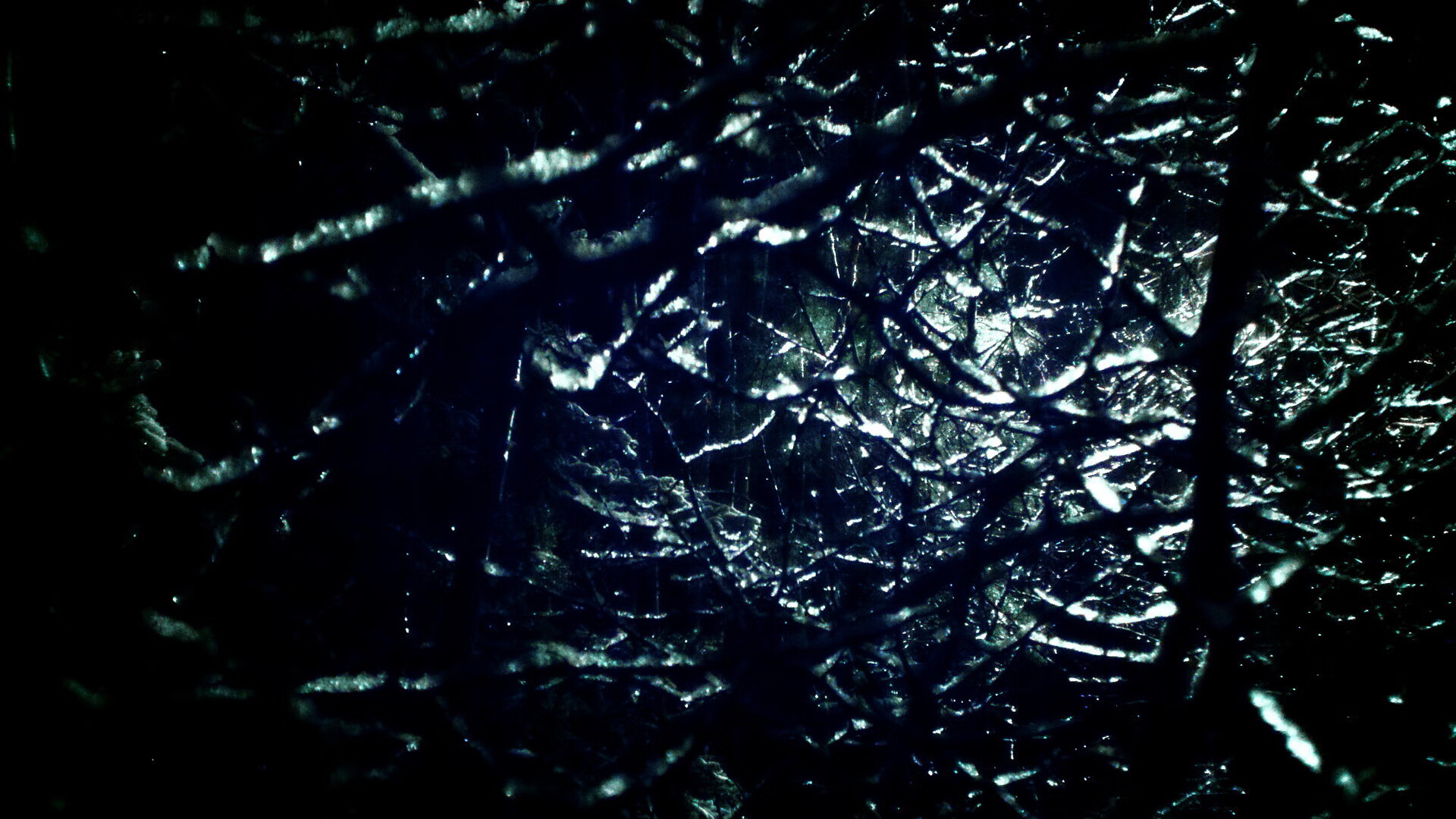 双城记,布克德甲封神夜,北京男篮终结辽宁王朝