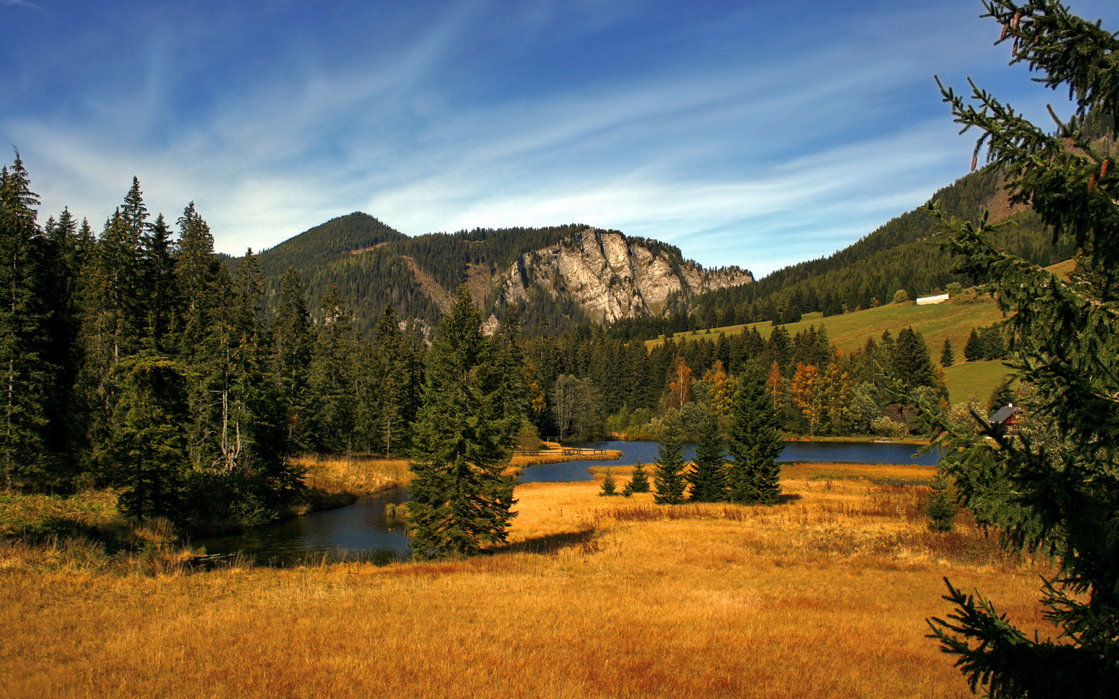 篮网收割北京队,世界排名争夺战的焦点之战